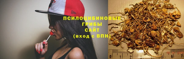 мескалин Арсеньев